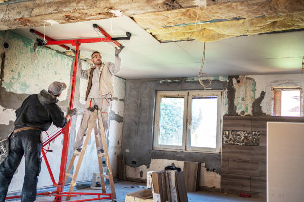 Best Insulation for New Construction  in Chester, PA