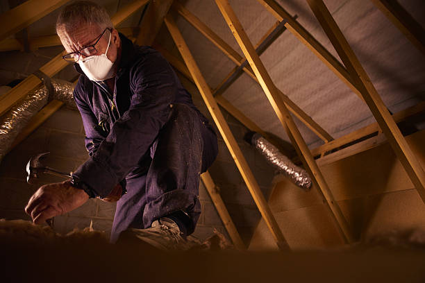 Best Energy-efficient Insulation  in Chester, PA